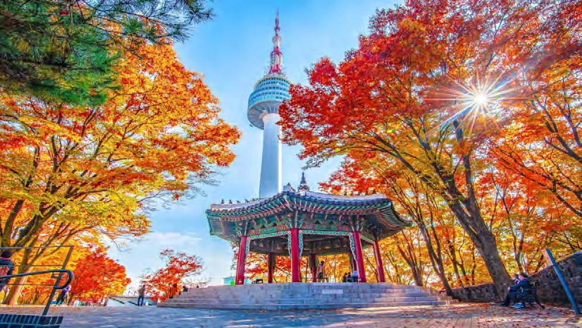 La Torre de Seúl sobre el monte Namsan, entre árboles de otoño