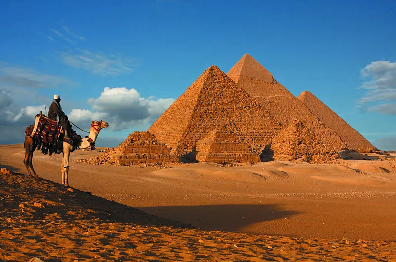Un camello frente a las pirámides de Guiza, en las afueras de El Cairo