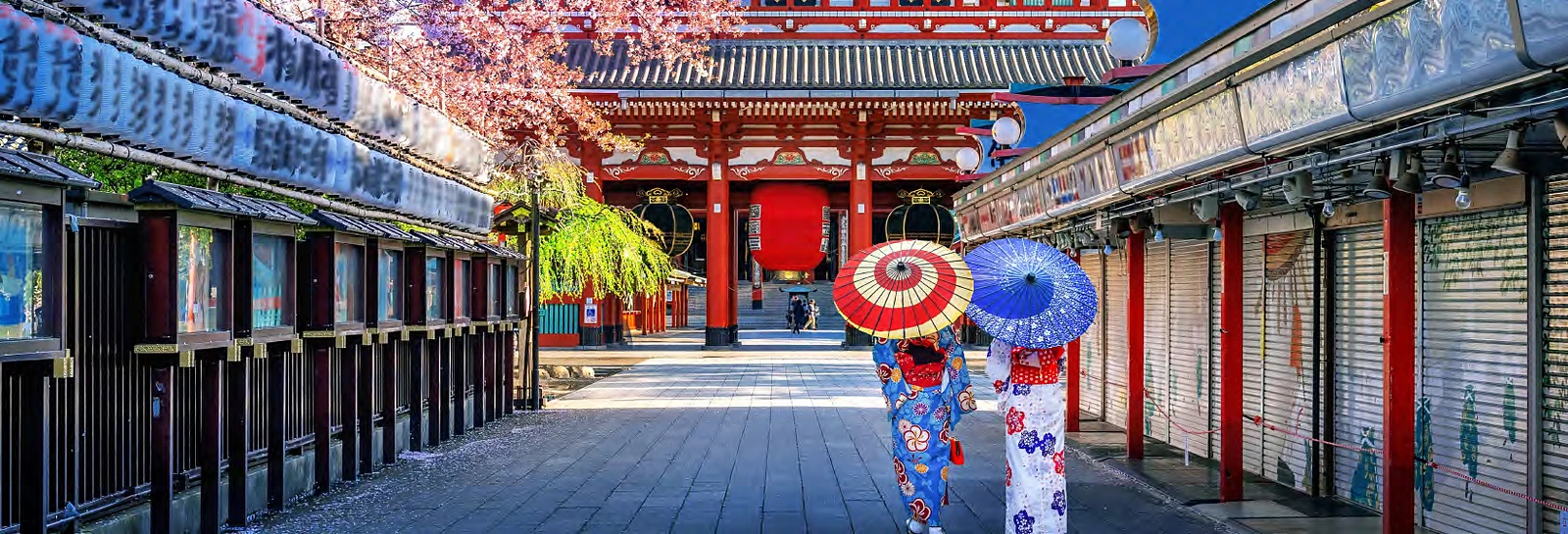 Tokio: Asakusa, Odaiba y Akihabara