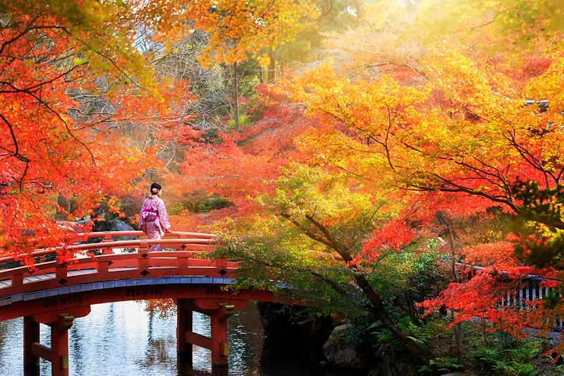 Un puente rojo entre arces de otoño en Kioto