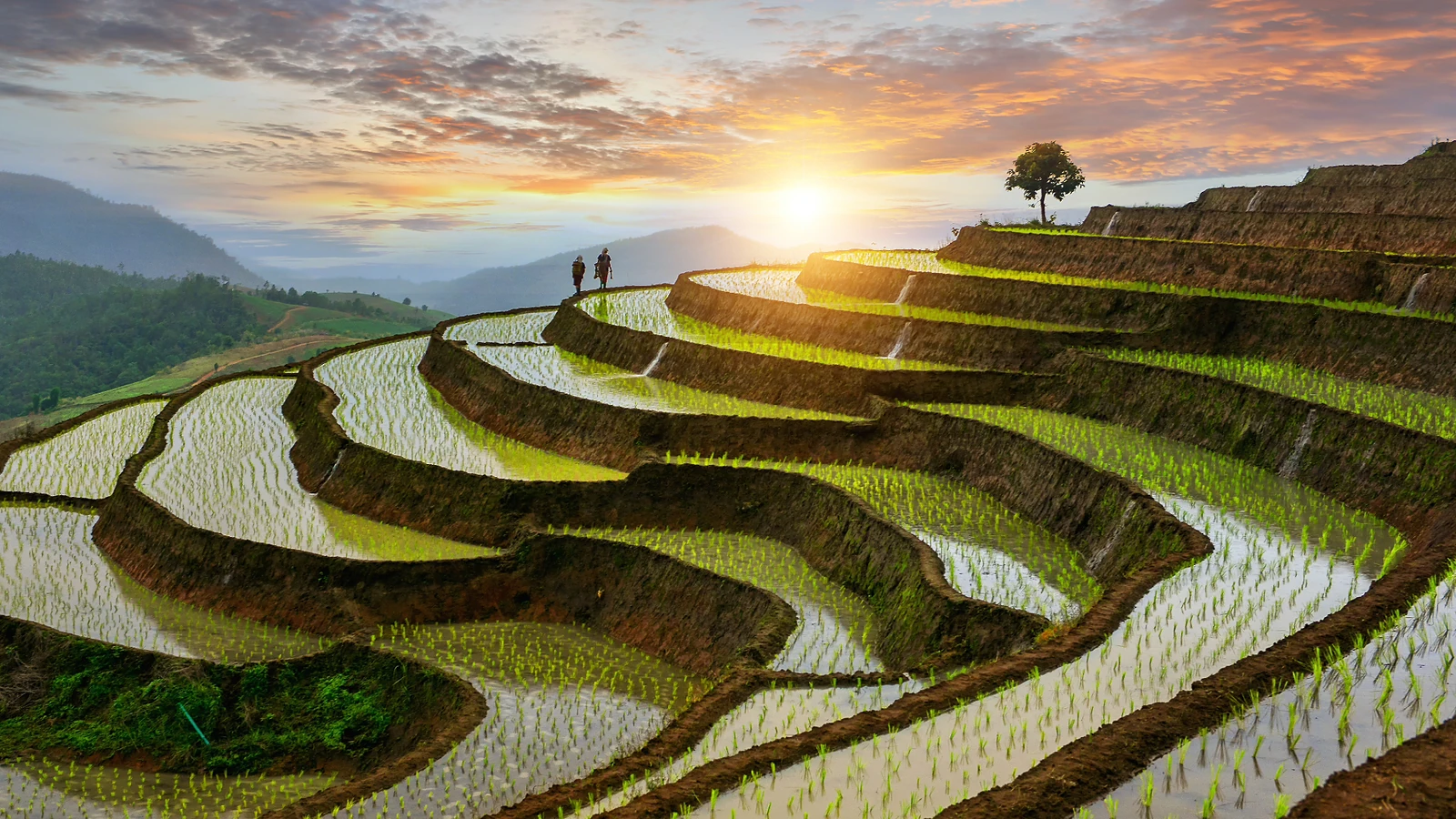Hanói · Sapa